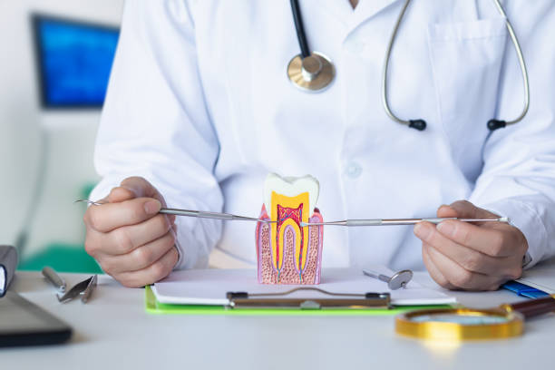 Best Chipped Tooth Repair Near Me  in Elm City, NC